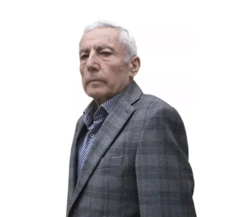 Ion Negură Expert în sisteme termoenergetice